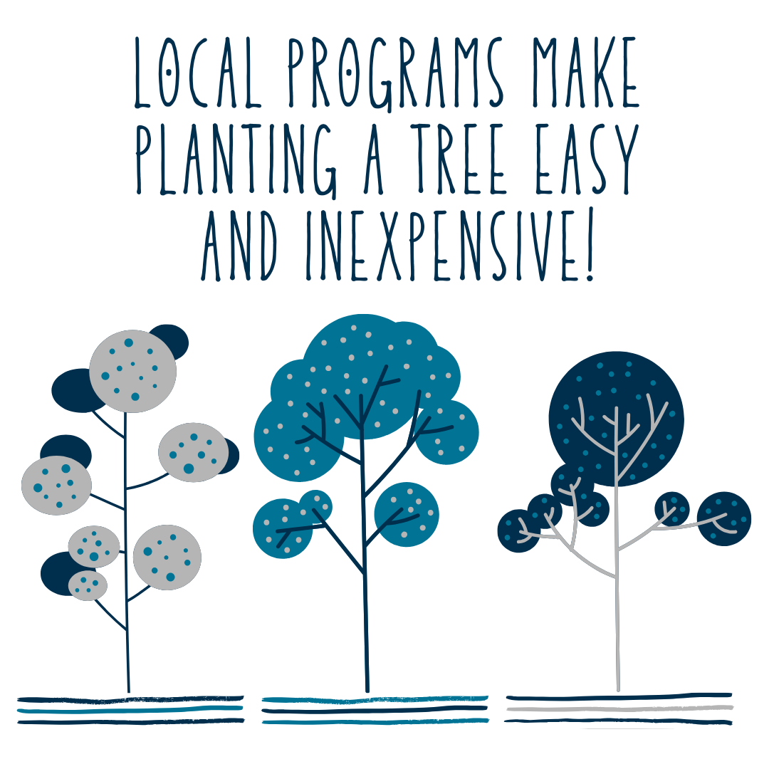 Local Programs Make Planting a Tree Easy and Inexpensive